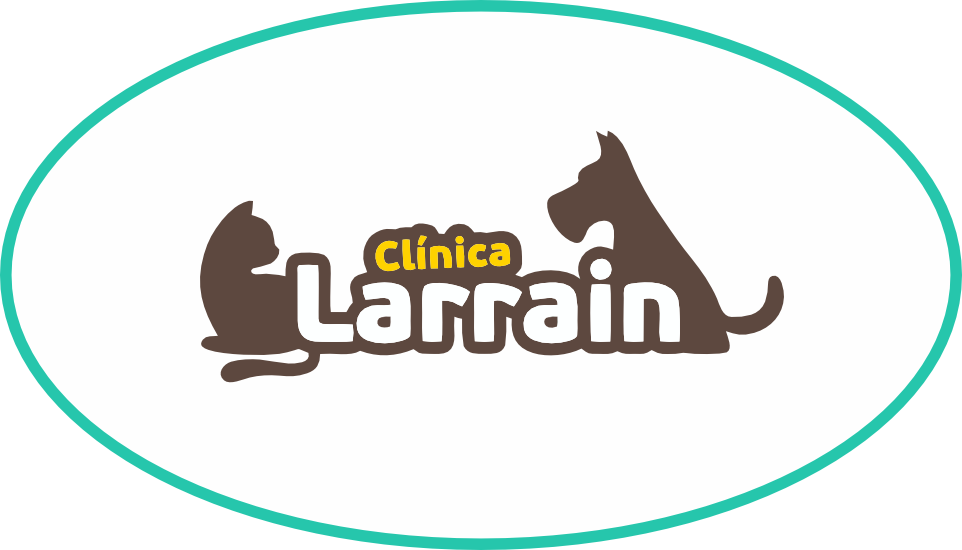 branding logo...